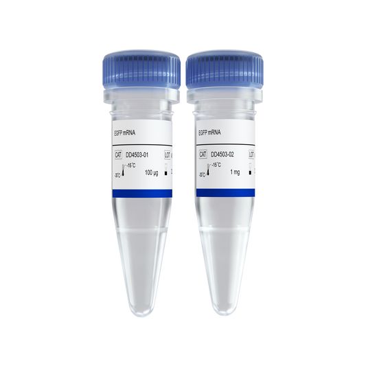 EGFP mRNA