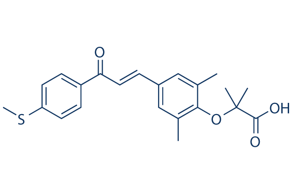 Elafibranor