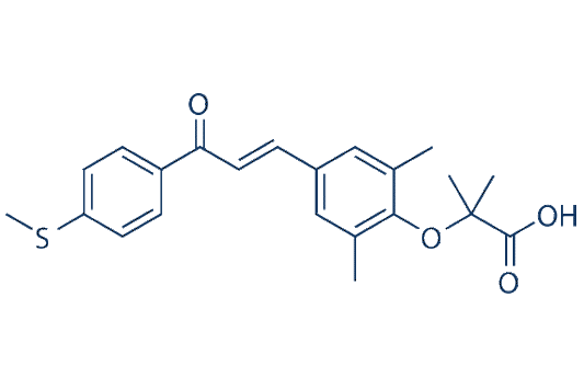 Elafibranor