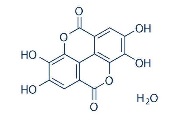 Ellagic Acid hydrate