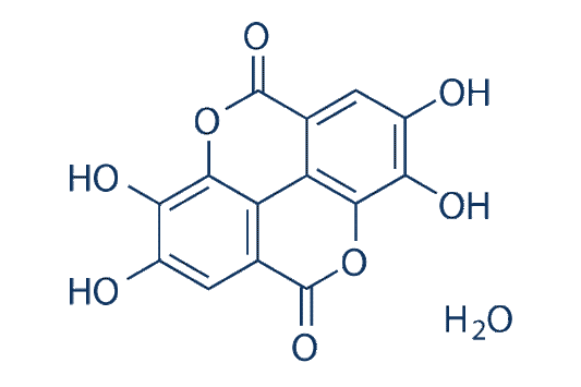 Ellagic Acid hydrate