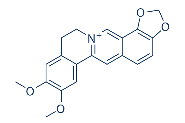 Epiberberine
