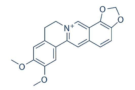 Epiberberine