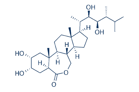 Epibrassinolide