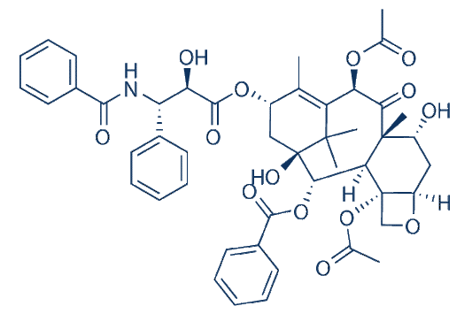 7-Epitaxol