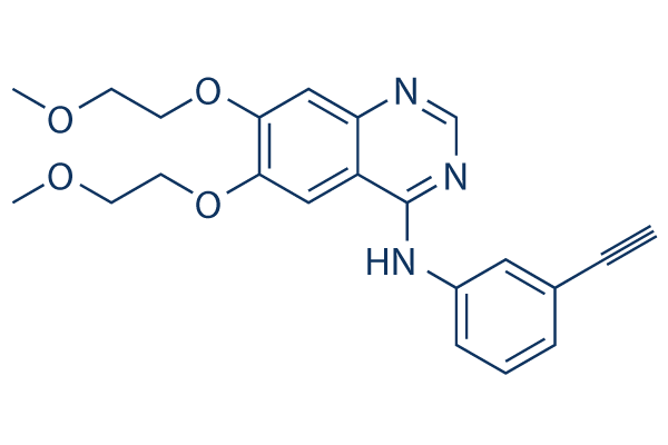 Erlotinib (CP-358774)