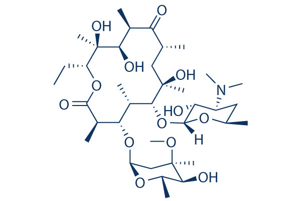 Erythromycin