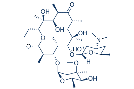 Erythromycin
