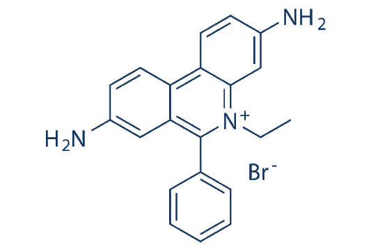 Ethidium bromide