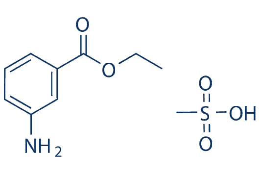Ethyl 3-Aminobenzoate methanesulfonate