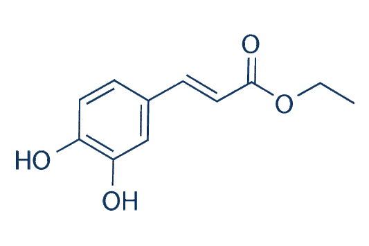 Ethyl caffeate