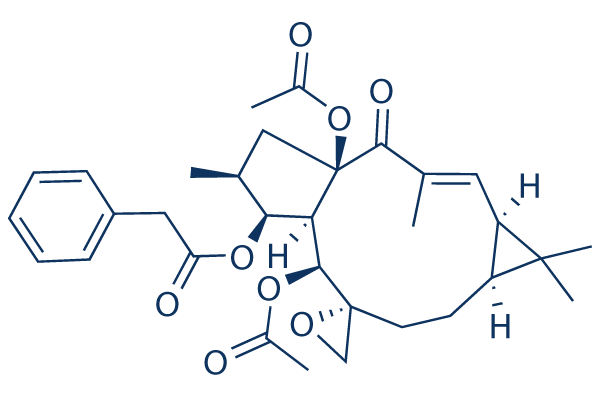 Euphorbiasteroid