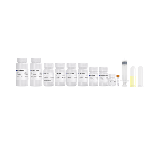 FastPure EndoFree Plasmid Maxi Kit V2