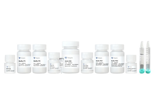 FastPure EndoFree Plasmid Midi Kit