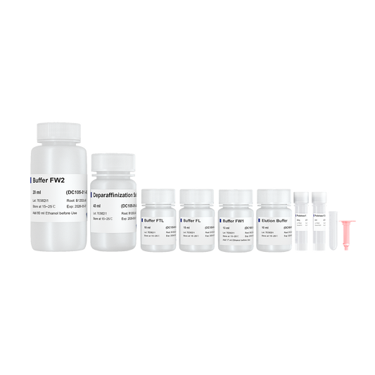 FastPure FFPE DNA Isolation Kit