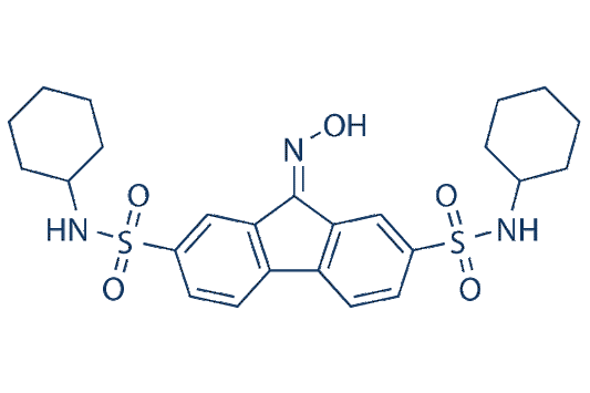 FIN56