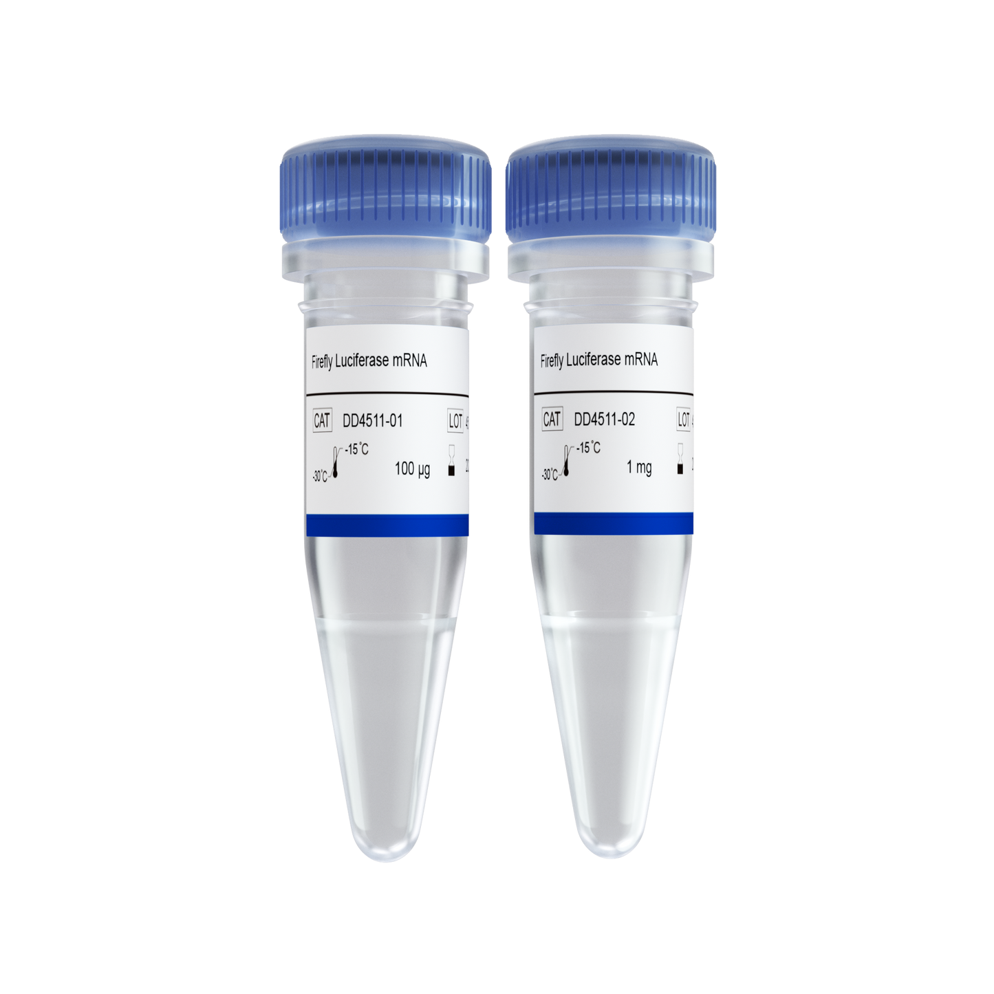 Firefly Luciferase mRNA