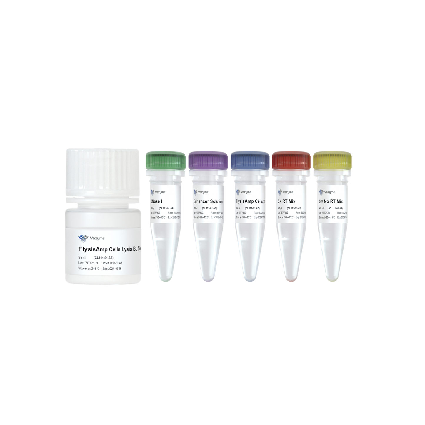 FlysisAmp Cells-to-cDNA Kit
