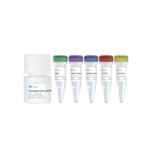 FlysisAmp Cells-to-cDNA Kit