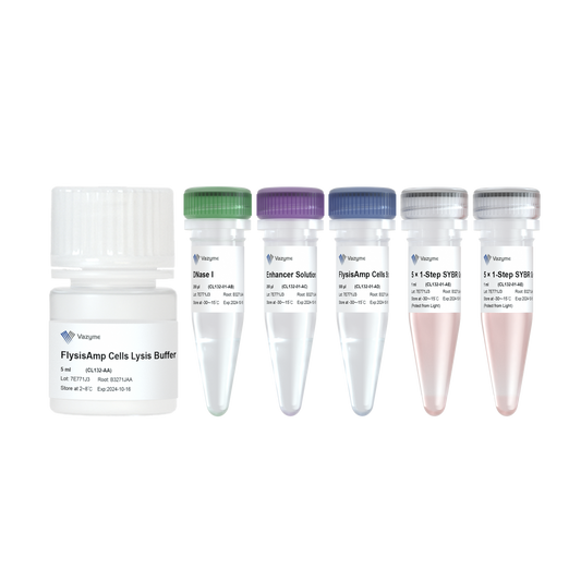 FlysisAmp Cells-to-CT 1-Step SYBR Green Kit