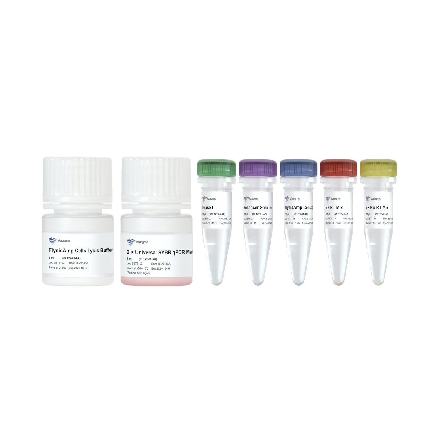 FlysisAmp Cells-to-CT 2-Step SYBR Green Kit