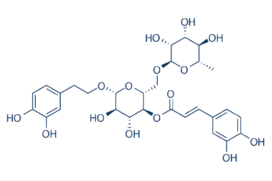 Forsythoside A