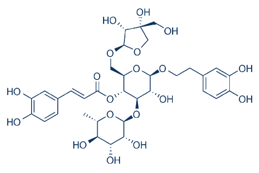 Forsythoside B