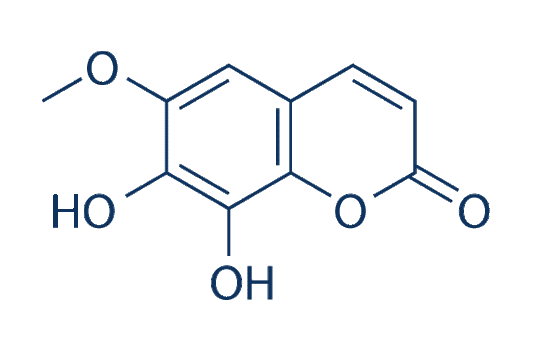 Fraxetin