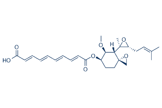 Fumagillin