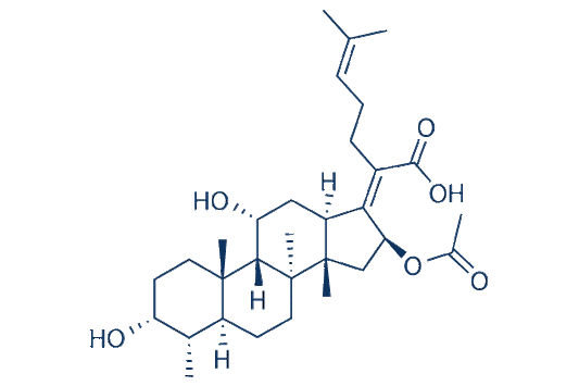 Fusidine