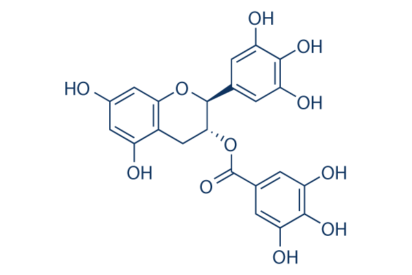 Gallocatechin gallate