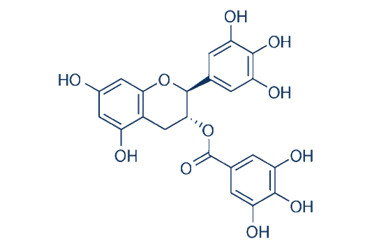 Gallocatechin gallate