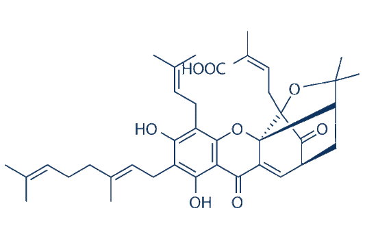 Gambogenic acid