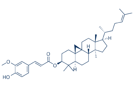 Gamma-Oryzanol