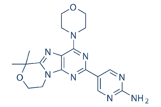Paxalisib (GDC-0084)
