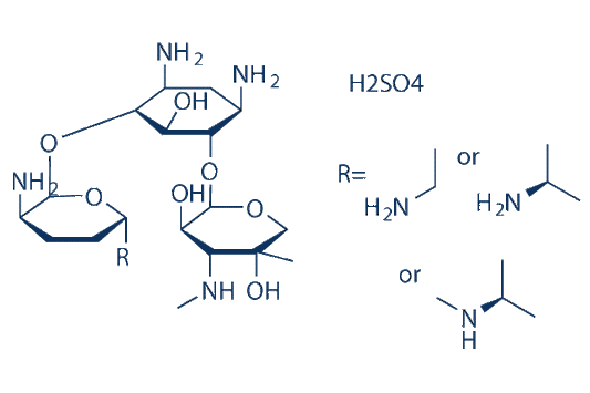 Gentamicin Sulfate