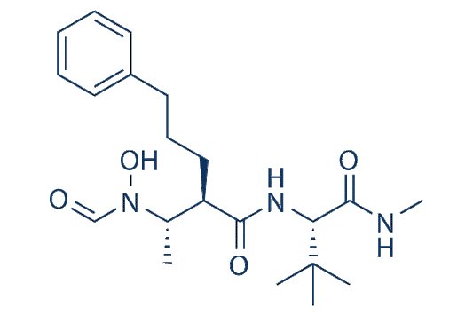 GI254023X (GI4023)