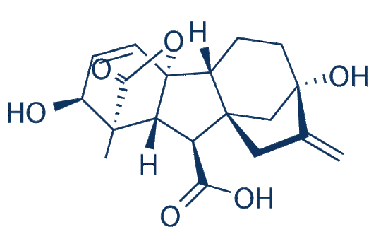 Gibberellic acid