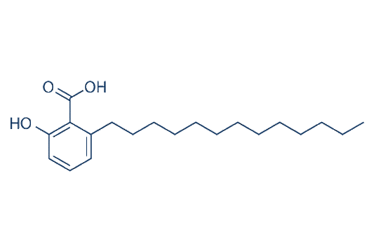 Ginkgolic Acid (C13:0)