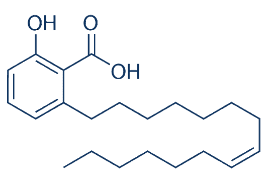 Ginkgolic Acid