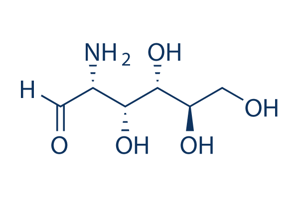 Glucosamine