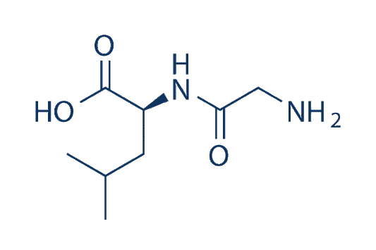 Glycyl-L-leucine