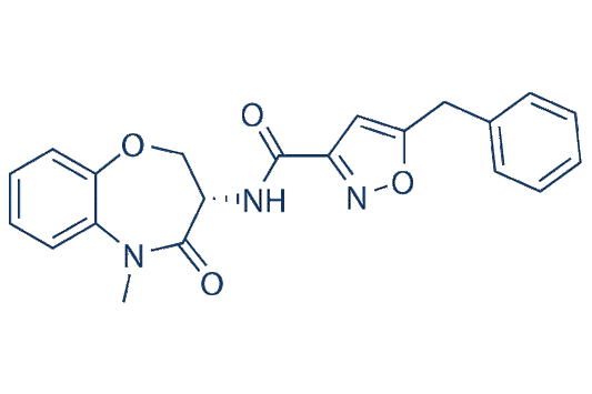 GSK481