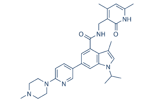 GSK503