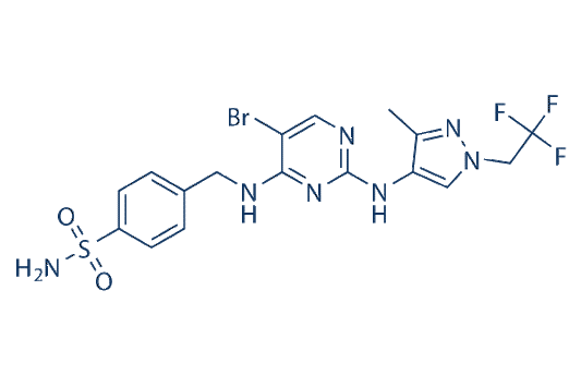 GSK8612