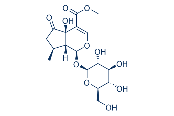 Hastatoside