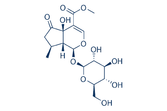 Hastatoside
