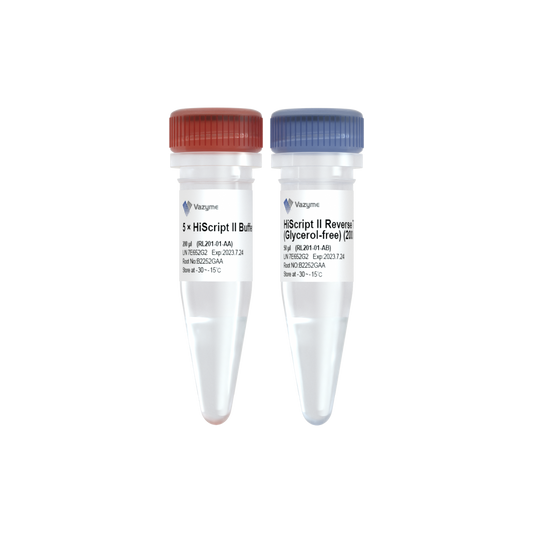 HiScript II Reverse Transcriptase (Glycerol-free)
