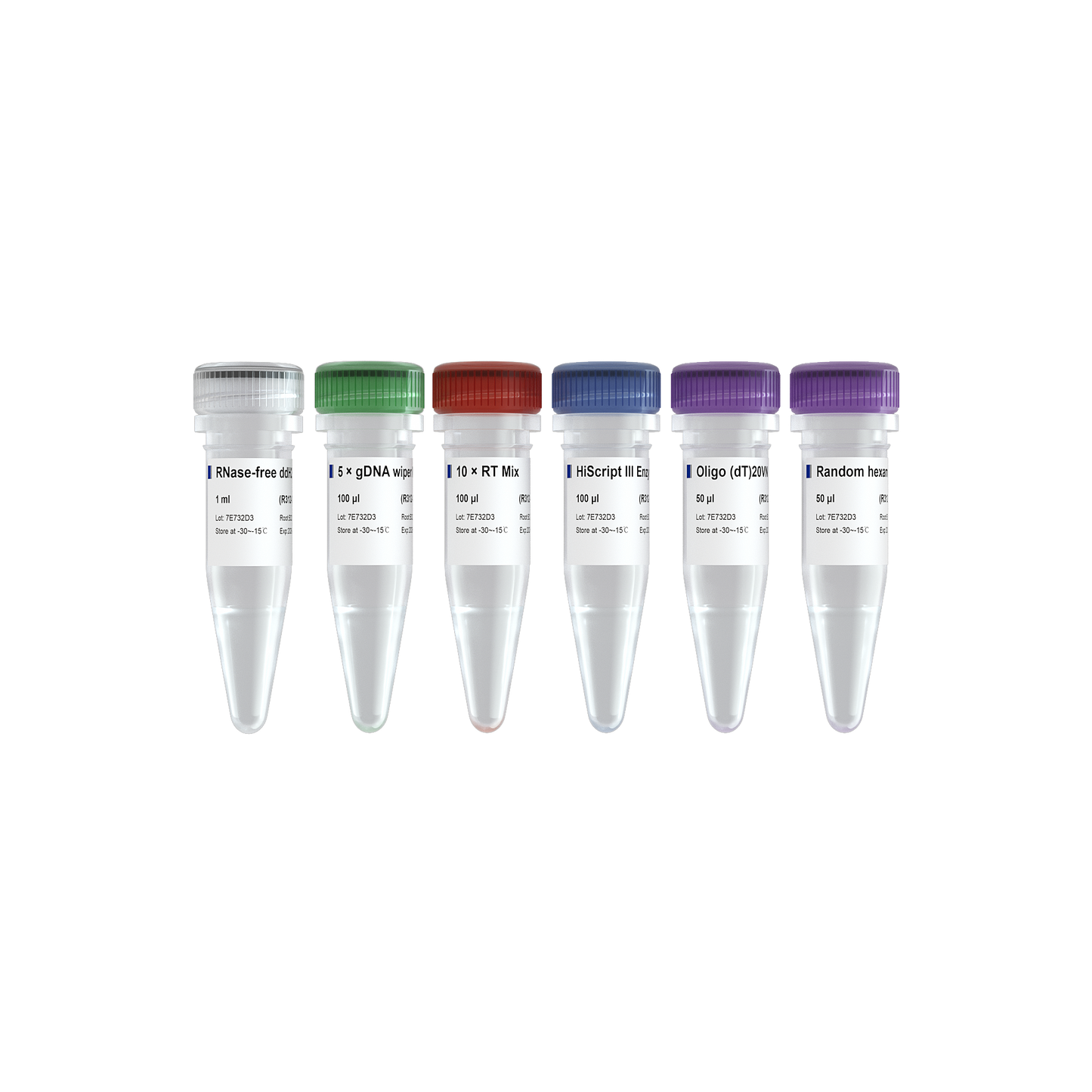 HiScript III 1st Strand cDNA Synthesis Kit (+gDNA wiper)