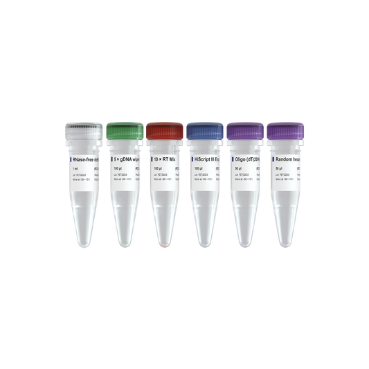 HiScript III 1st Strand cDNA Synthesis Kit (+gDNA wiper)